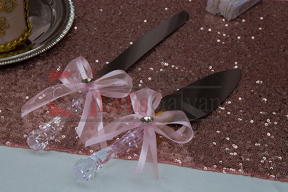 Alondra Mi Quinceanera_0016