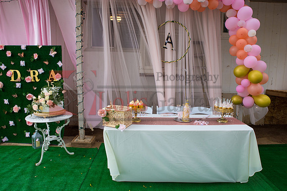 Alondra Mi Quinceanera_0027