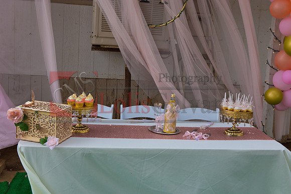 Alondra Mi Quinceanera_0028