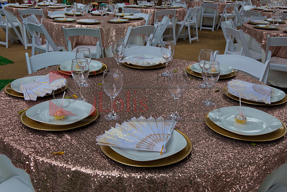 Alondra Mi Quinceanera_0032