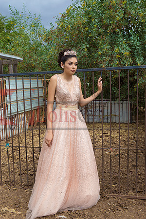 Alondra Mi Quinceanera_0038