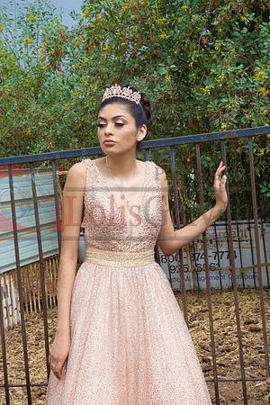 Alondra Mi Quinceanera_0039