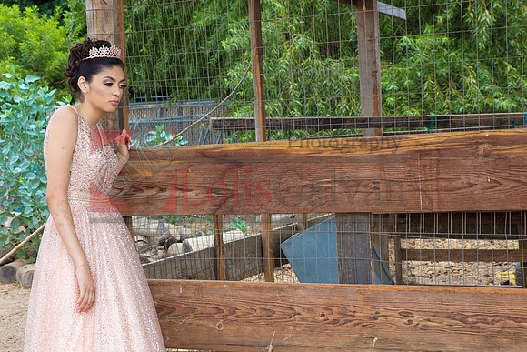 Alondra Mi Quinceanera_0041