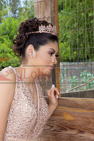 Alondra Mi Quinceanera_0043