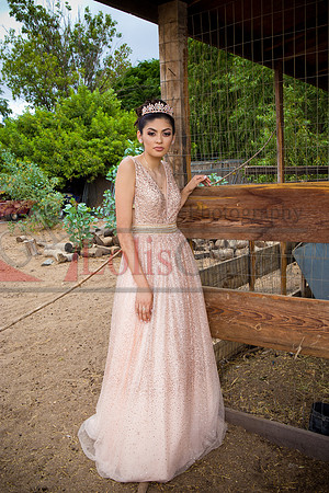 Alondra Mi Quinceanera_0045