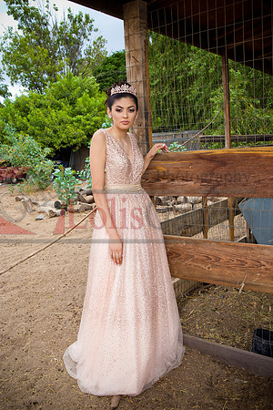 Alondra Mi Quinceanera_0046