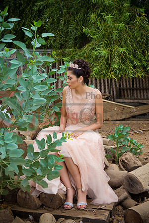 Alondra Mi Quinceanera_0048