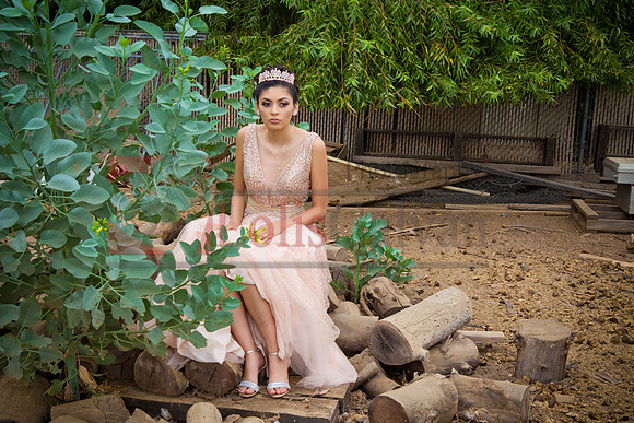 Alondra Mi Quinceanera_0050
