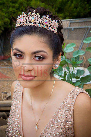 Alondra Mi Quinceanera_0055