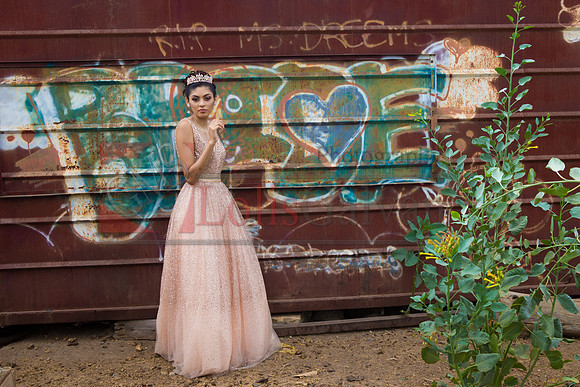 Alondra Mi Quinceanera_0067