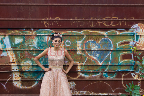 Alondra Mi Quinceanera_0074