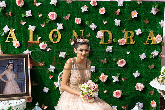 Alondra Mi Quinceanera_0079