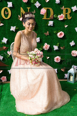 Alondra Mi Quinceanera_0080