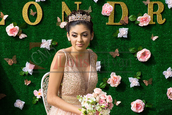 Alondra Mi Quinceanera_0081