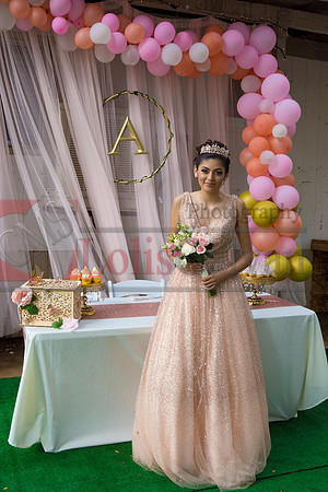 Alondra Mi Quinceanera_0086