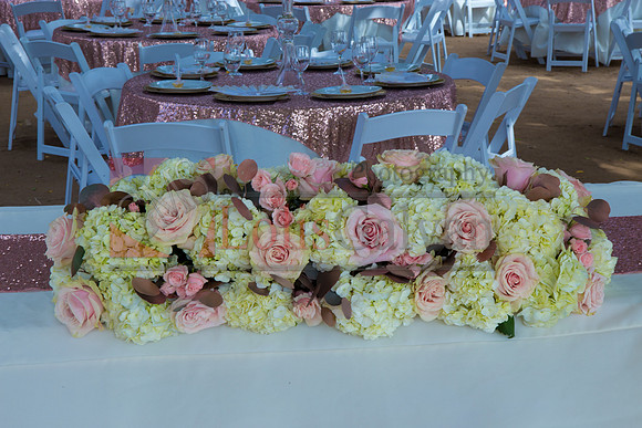 Alondra Mi Quinceanera_0117
