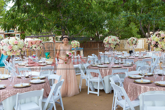 Alondra Mi Quinceanera_0121