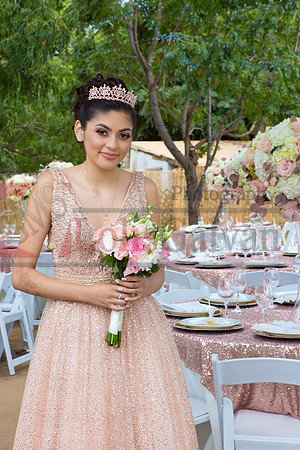 Alondra Mi Quinceanera_0126
