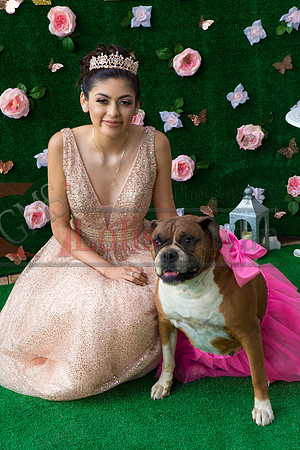 Alondra Mi Quinceanera_0146