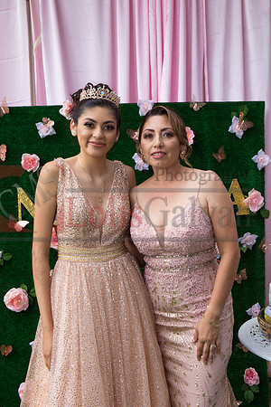 Alondra Mi Quinceanera_0166