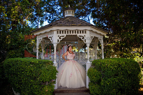 IMG_1235-Edit-3