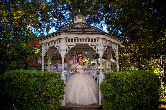 IMG_1236-Edit