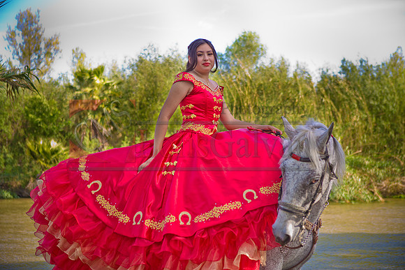 IMG_1515-Edit