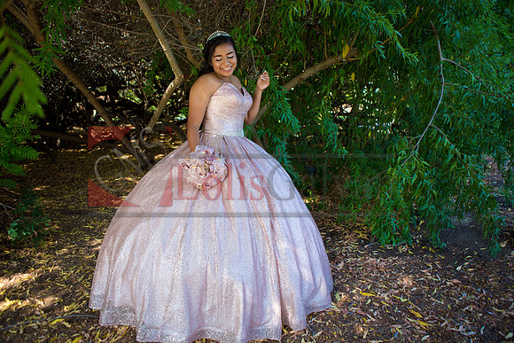 Julianna Mis Quince _0006