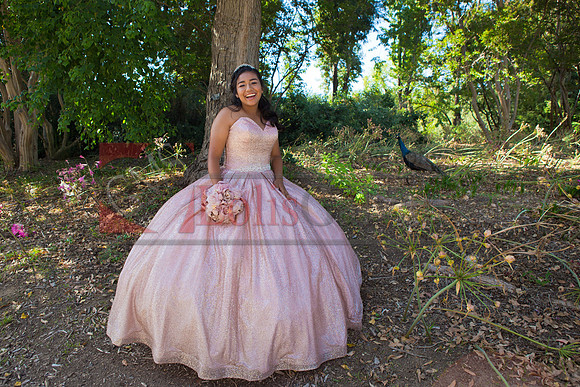 Julianna Mis Quince _0014