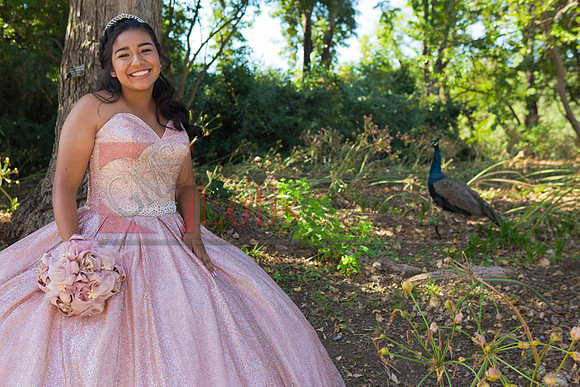 Julianna Mis Quince _0015