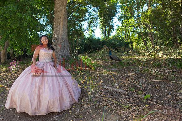 Julianna Mis Quince _0016