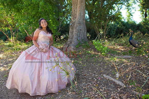 Julianna Mis Quince _0017