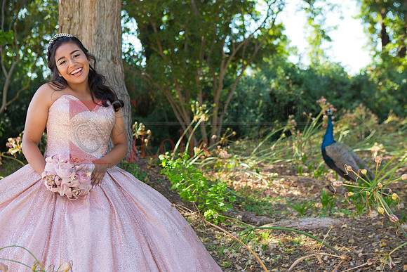 Julianna Mis Quince _0018