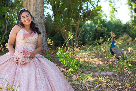 Julianna Mis Quince _0019