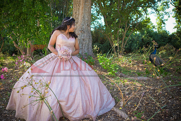 Julianna Mis Quince _0021