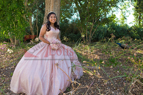 Julianna Mis Quince _0022