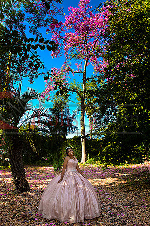 Julianna Mis Quince _0024