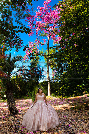 Julianna Mis Quince _0025
