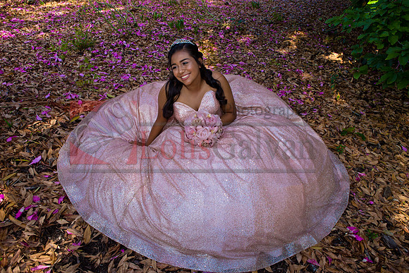 Julianna Mis Quince _0030