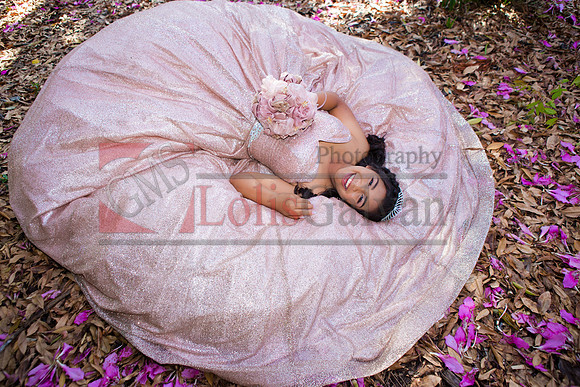 Julianna Mis Quince _0041