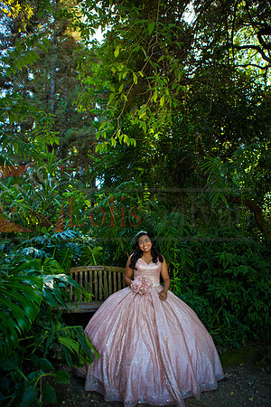 Julianna Mis Quince _0045