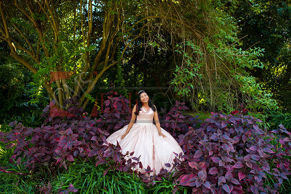 Julianna Mis Quince _0052