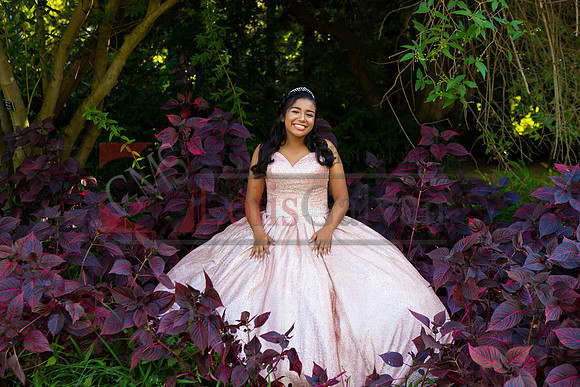 Julianna Mis Quince _0054