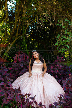 Julianna Mis Quince _0055