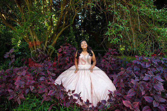 Julianna Mis Quince _0056