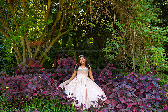 Julianna Mis Quince _0059