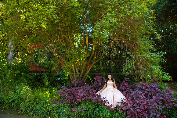 Julianna Mis Quince _0058