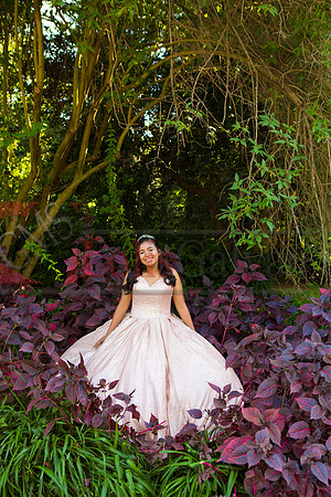 Julianna Mis Quince _0060