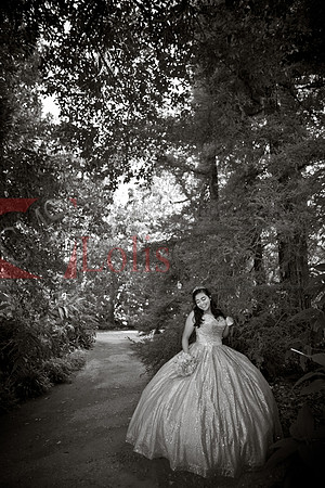 Julianna Mis Quince _0066