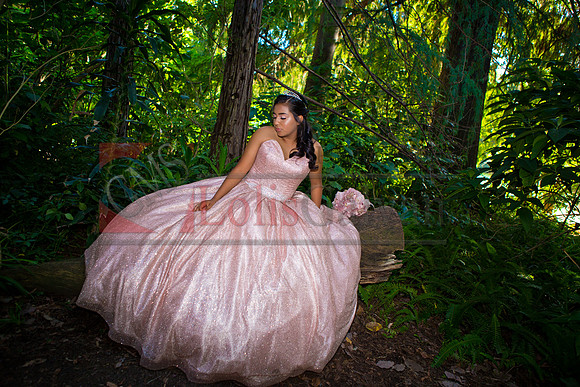 Julianna Mis Quince _0069